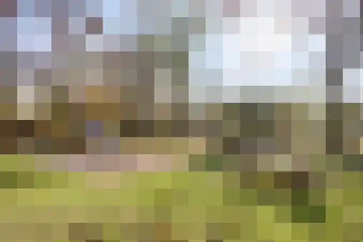 Petuniastraat 30 Rosmalen thumbnail 33