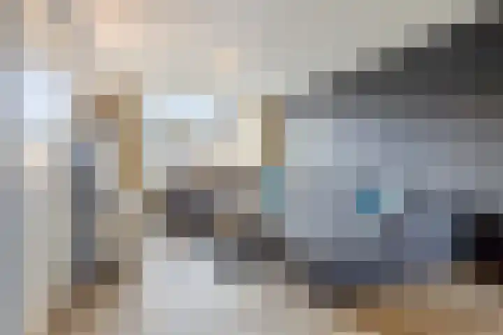 Petuniastraat 30 Rosmalen thumbnail 4
