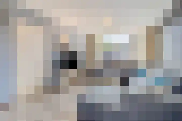 Petuniastraat 30 Rosmalen thumbnail 5