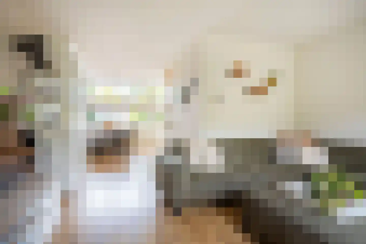 Petuniastraat 34 Enschede thumbnail 18