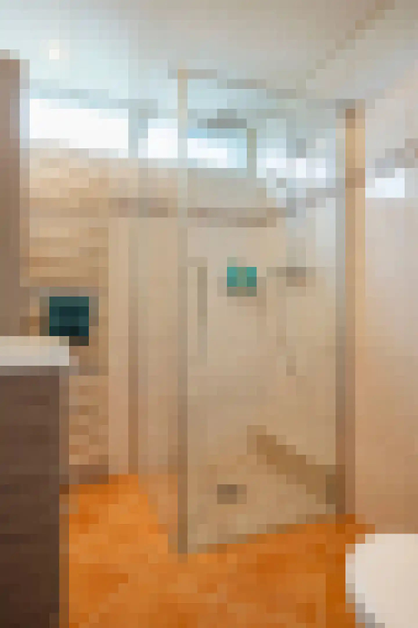 Petuniastraat 34 Enschede thumbnail 18