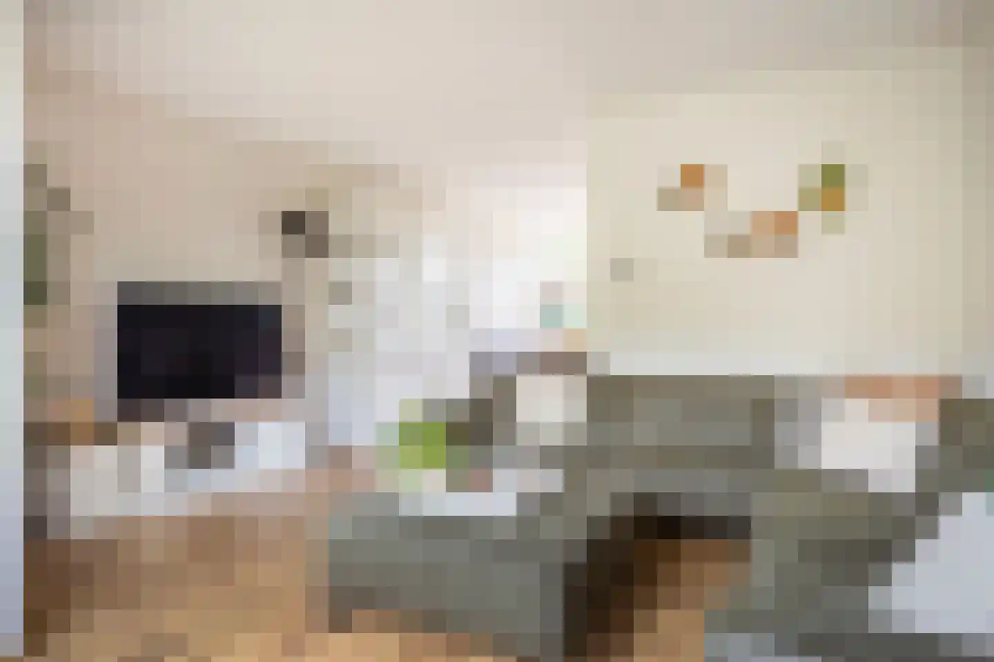 Petuniastraat 34 Enschede thumbnail 6
