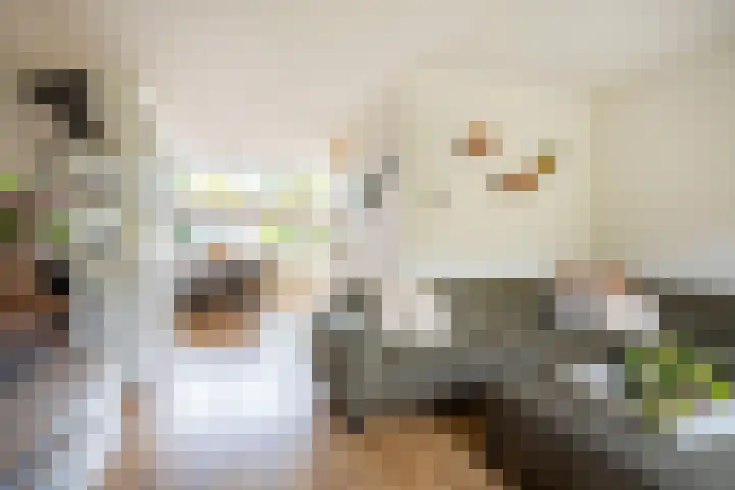 Petuniastraat 34 Enschede thumbnail 8