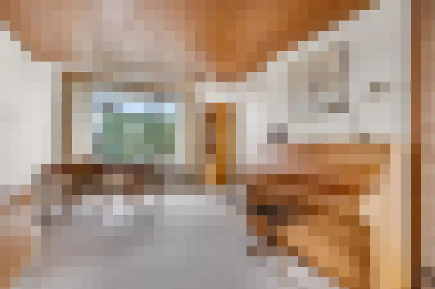 Petuniastraat 34 Rhenen thumbnail 12