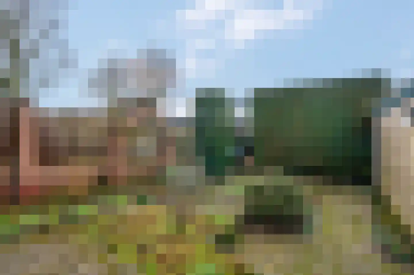 Petuniastraat 34 Rhenen thumbnail 28