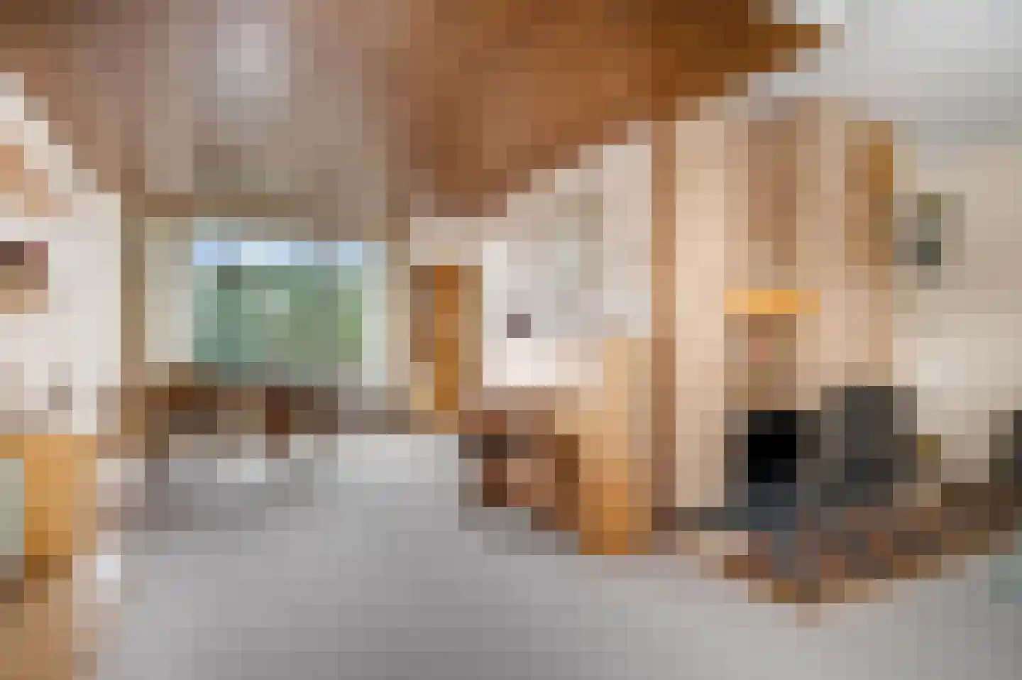 Petuniastraat 34 Rhenen thumbnail 8