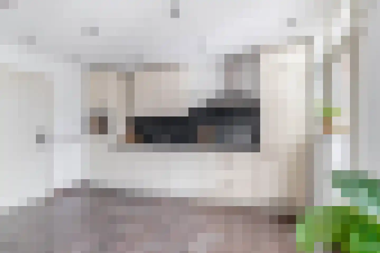 Petuniastraat 39 Rosmalen thumbnail 20