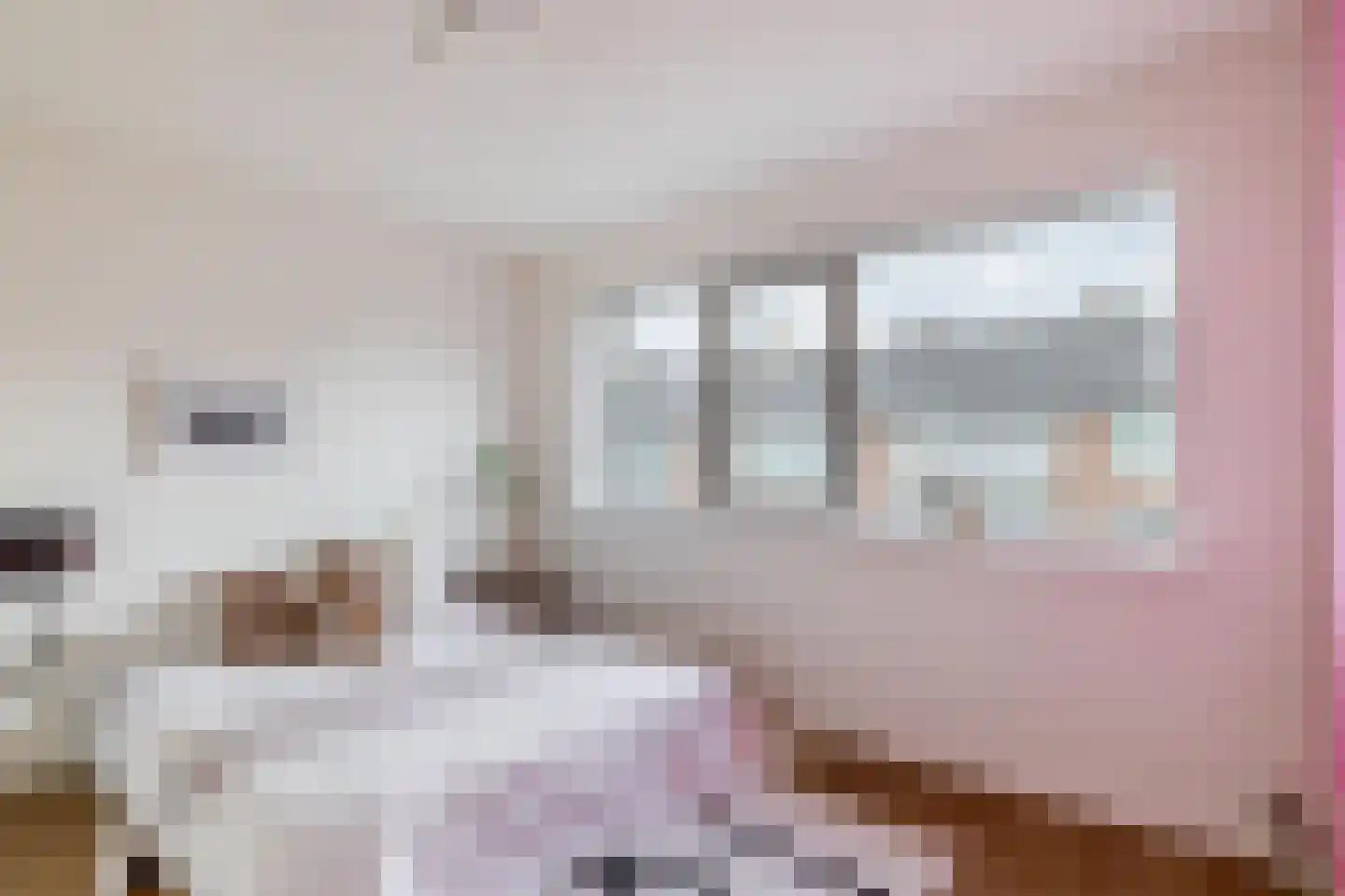 Petuniastraat 39 Rosmalen thumbnail 27