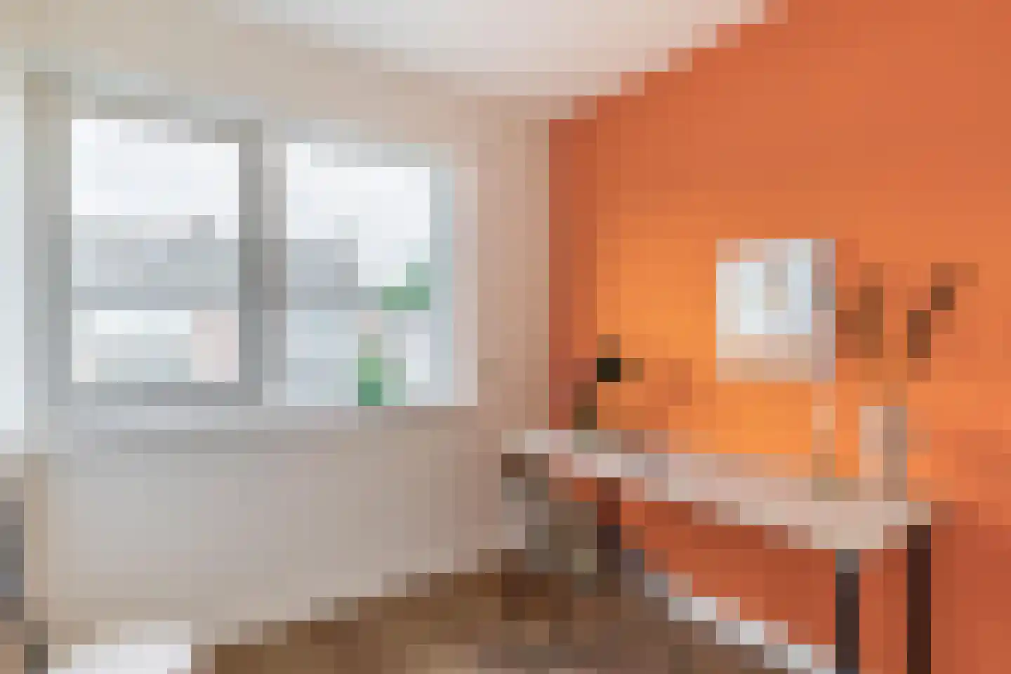 Petuniastraat 39 Rosmalen thumbnail 30