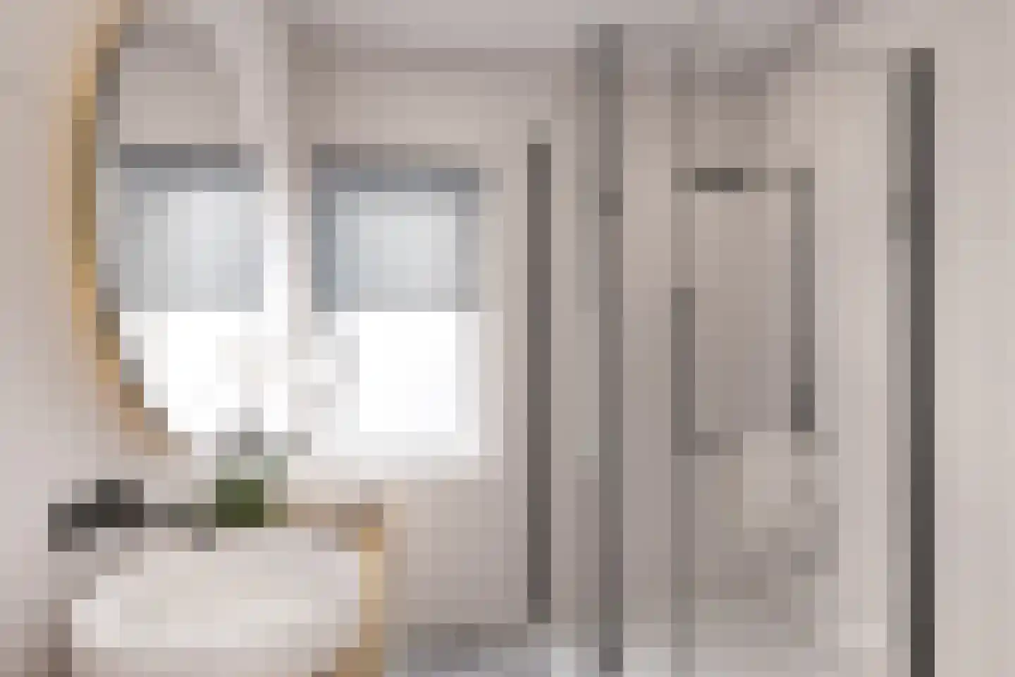 Petuniastraat 39 Rosmalen thumbnail 34