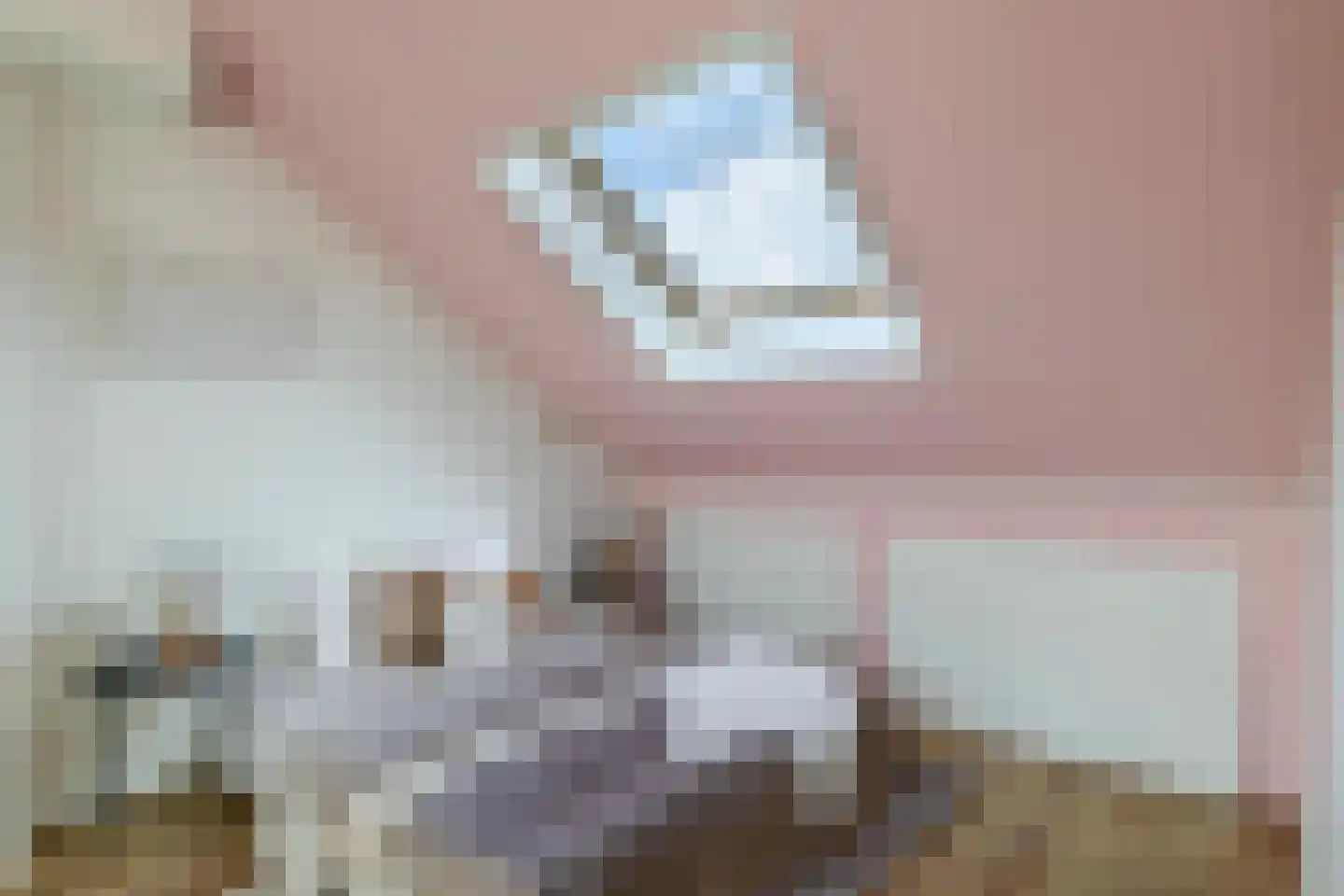 Petuniastraat 39 Rosmalen thumbnail 36