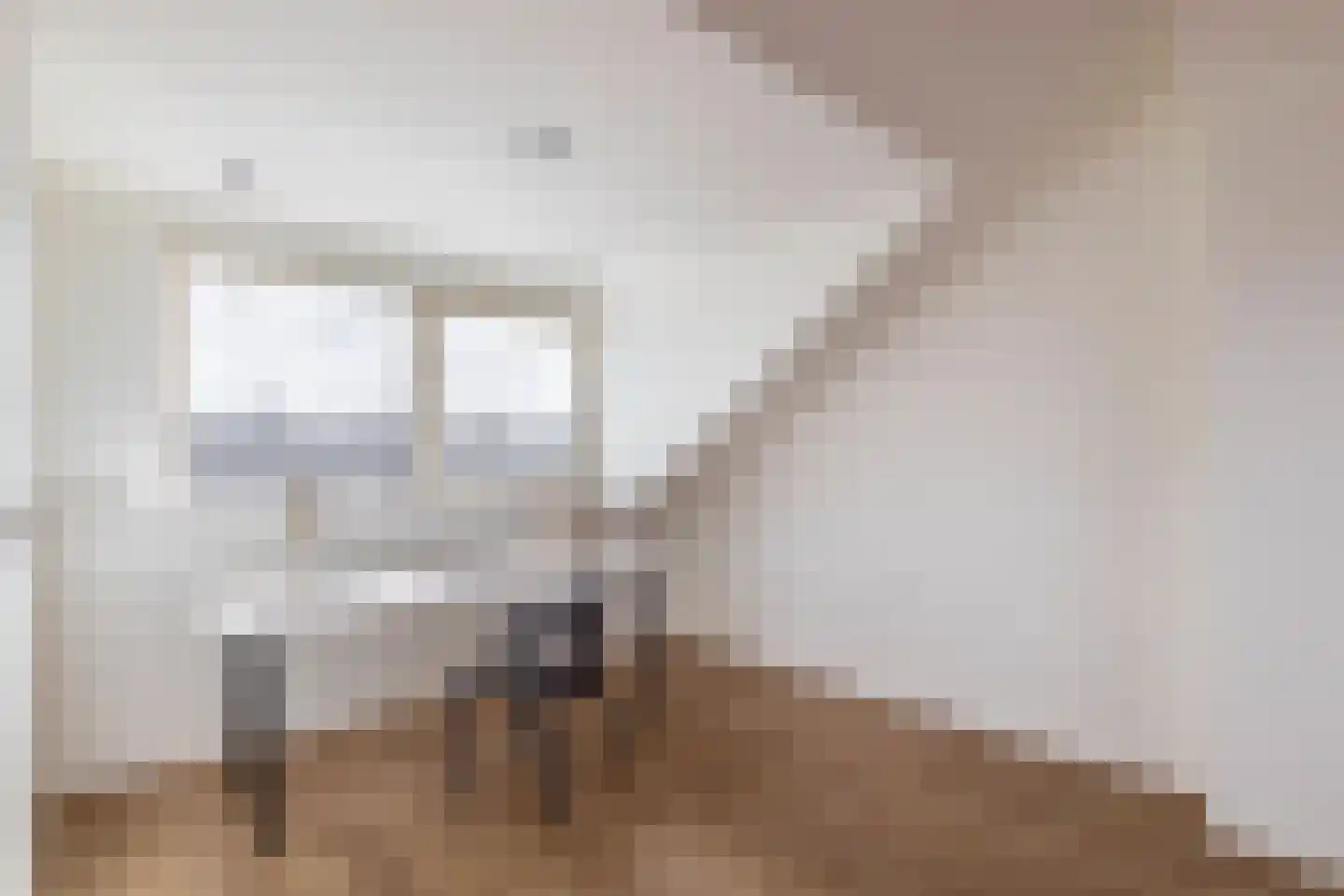 Petuniastraat 39 Rosmalen thumbnail 37