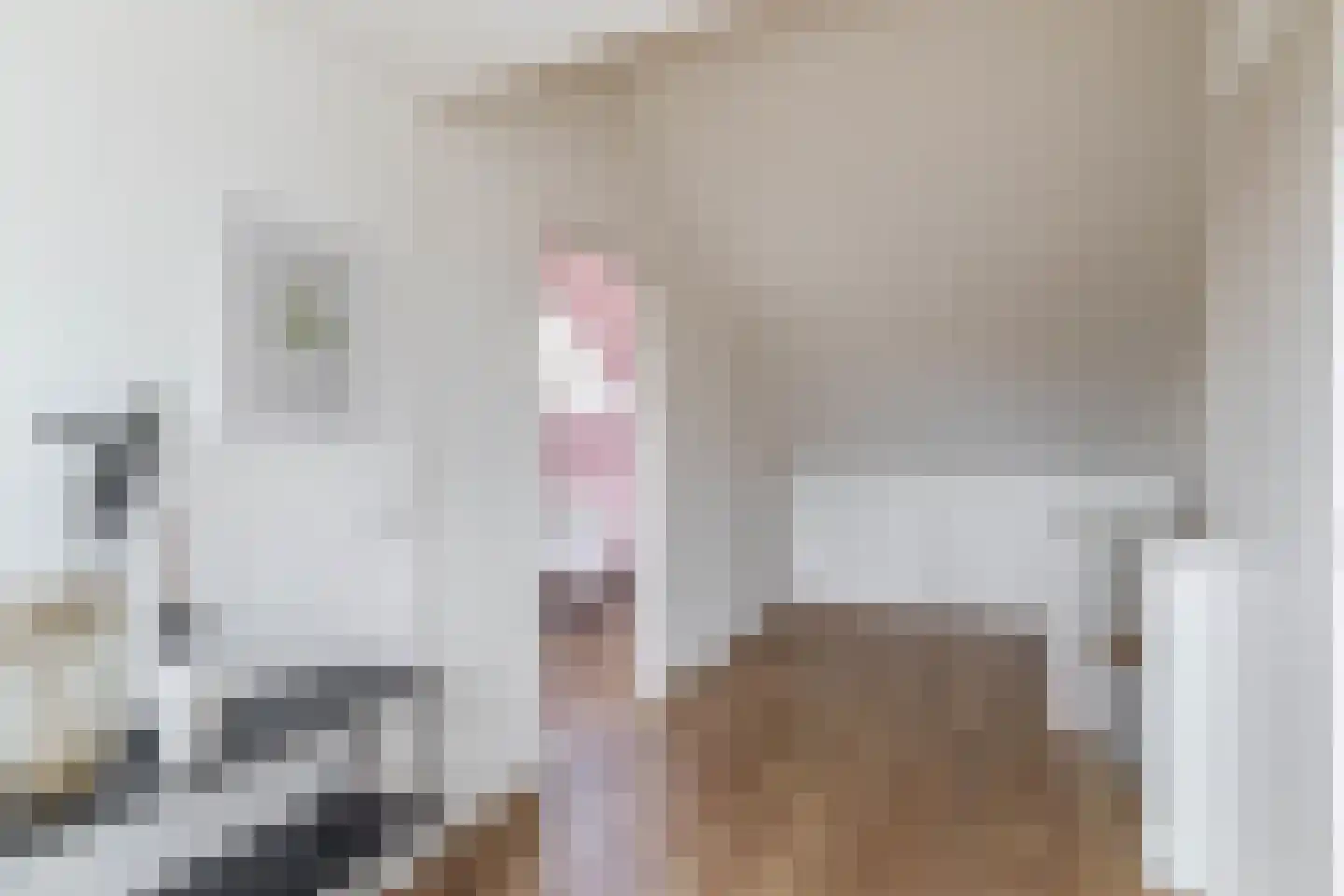 Petuniastraat 39 Rosmalen thumbnail 38