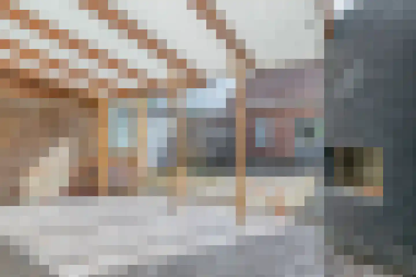 Petuniastraat 39 Rosmalen thumbnail 41