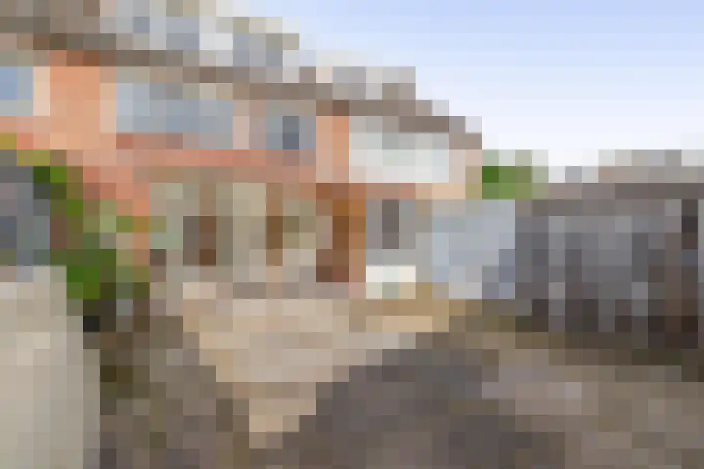 Petuniastraat 39 Rosmalen thumbnail 42