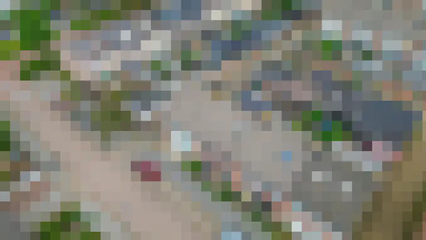 Petuniastraat 39 Rosmalen thumbnail 60