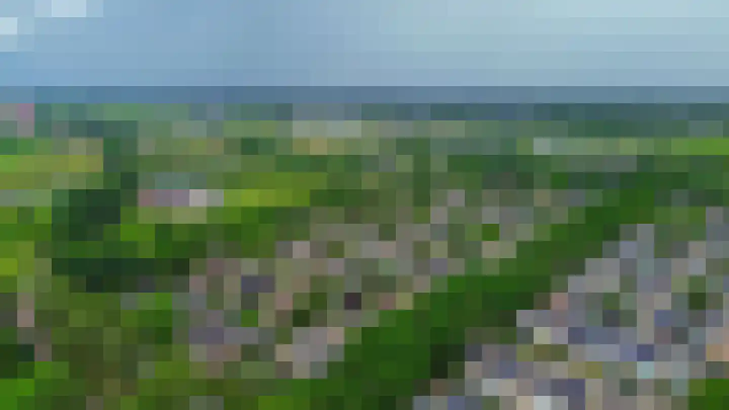 Petuniastraat 39 Rosmalen thumbnail 63