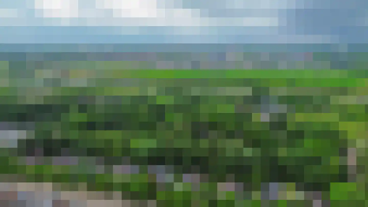 Petuniastraat 39 Rosmalen thumbnail 64