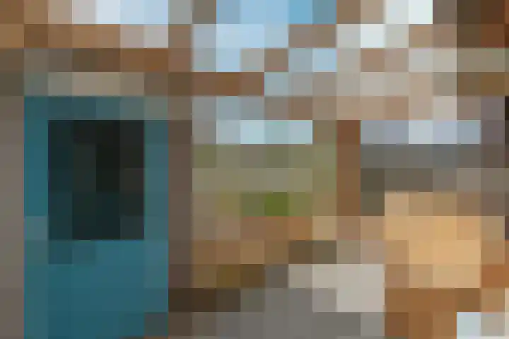 Petuniastraat 58 Lent thumbnail 10