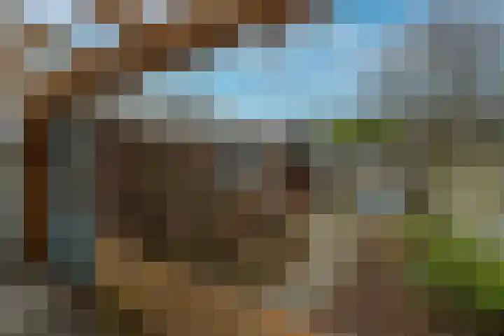 Petuniastraat 58 Lent thumbnail 12