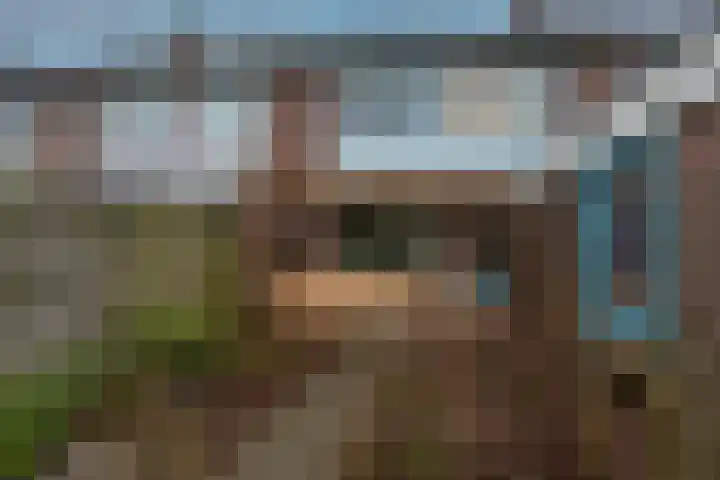Petuniastraat 58 Lent thumbnail 13