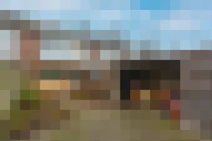 Petuniastraat 58 Lent thumbnail 14