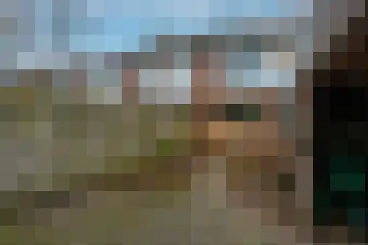 Petuniastraat 58 Lent thumbnail 15