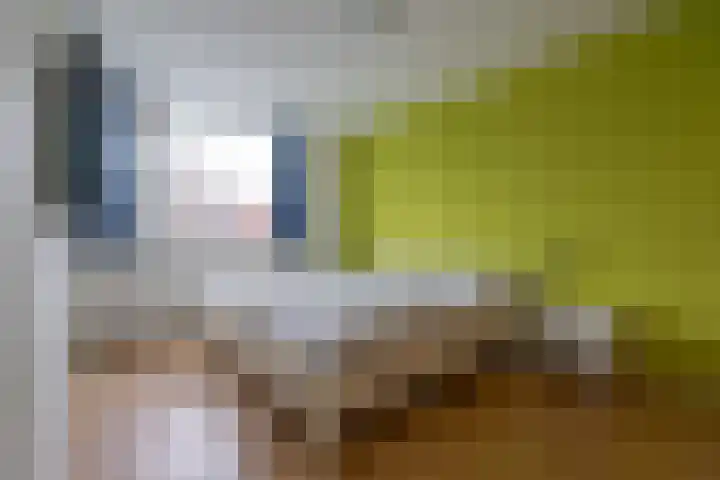 Petuniastraat 58 Lent thumbnail 18