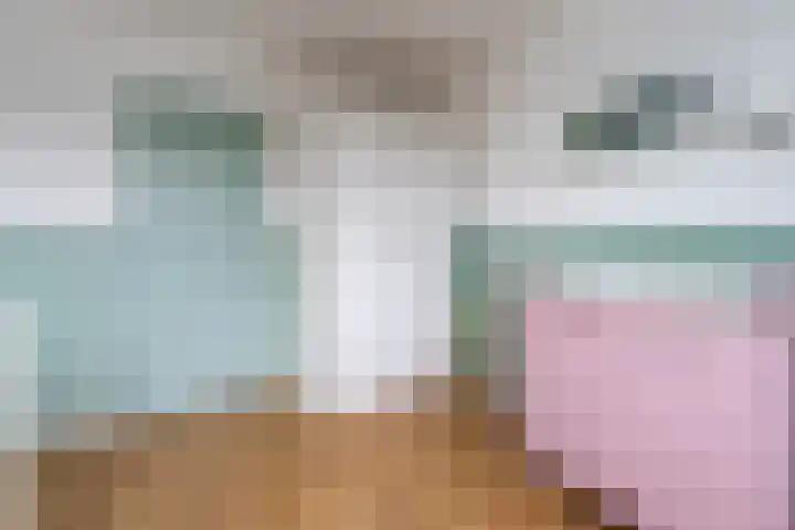 Petuniastraat 58 Lent thumbnail 24
