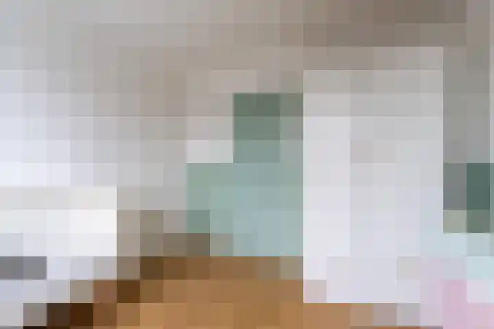 Petuniastraat 58 Lent thumbnail 25