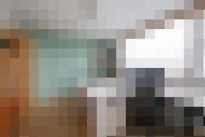 Petuniastraat 58 Lent thumbnail 26
