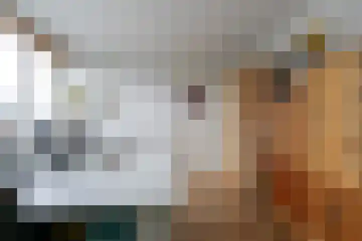 Petuniastraat 58 Lent thumbnail 27