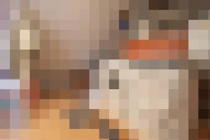 Petuniastraat 58 Lent thumbnail 30