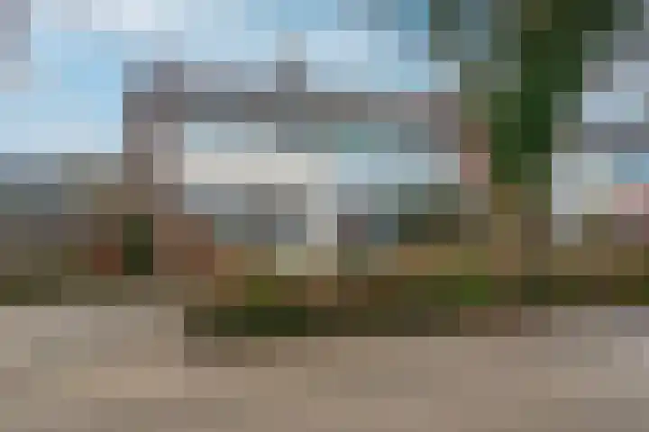 Petuniastraat 58 Lent thumbnail 32