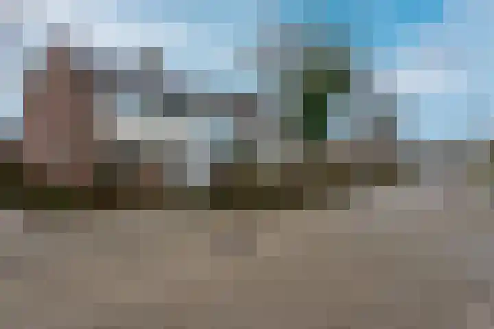 Petuniastraat 58 Lent thumbnail 33