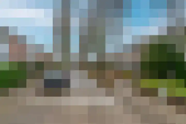 Petuniastraat 58 Lent thumbnail 34