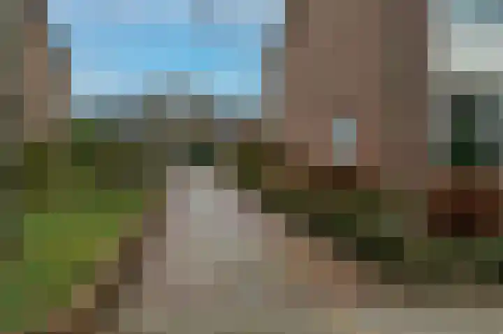Petuniastraat 58 Lent thumbnail 35