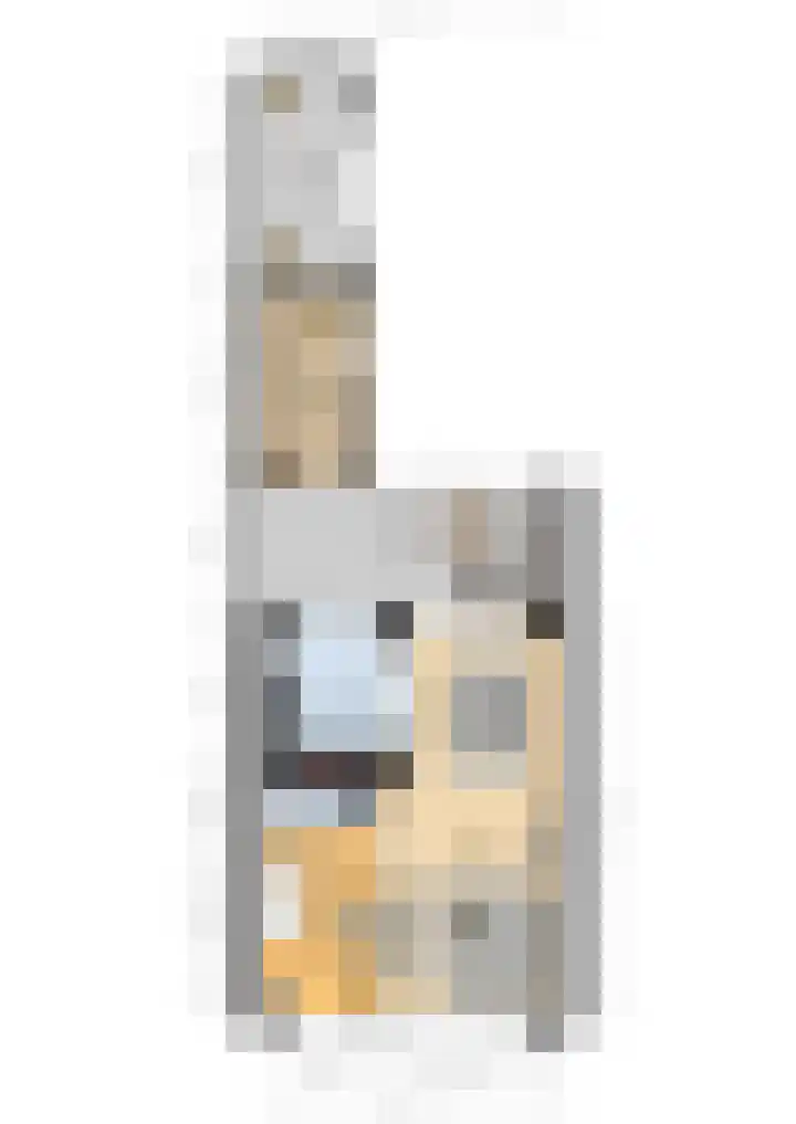 Petuniastraat 58 Lent thumbnail 36