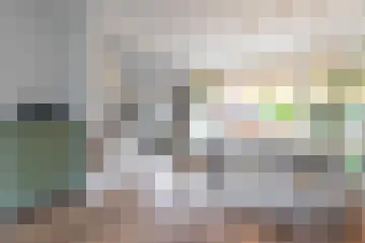 Petuniastraat 58 Lent thumbnail 5