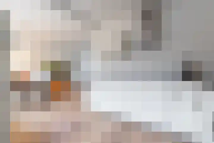 Petuniastraat 58 Lent thumbnail 8