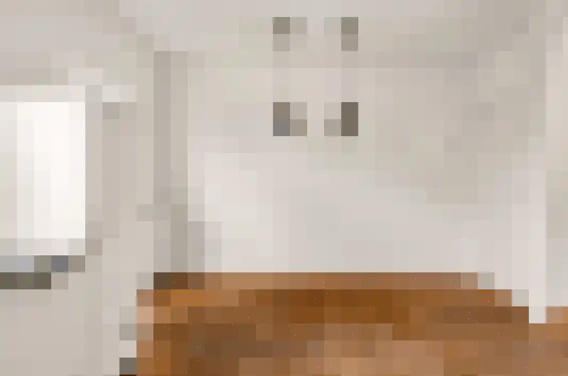 Petuniastraat 6 Oldebroek thumbnail 17