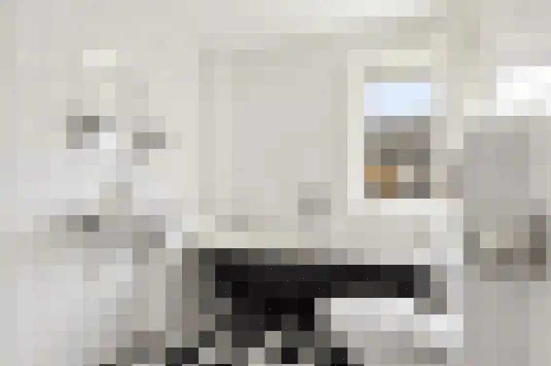 Petuniastraat 6 Oldebroek thumbnail 30