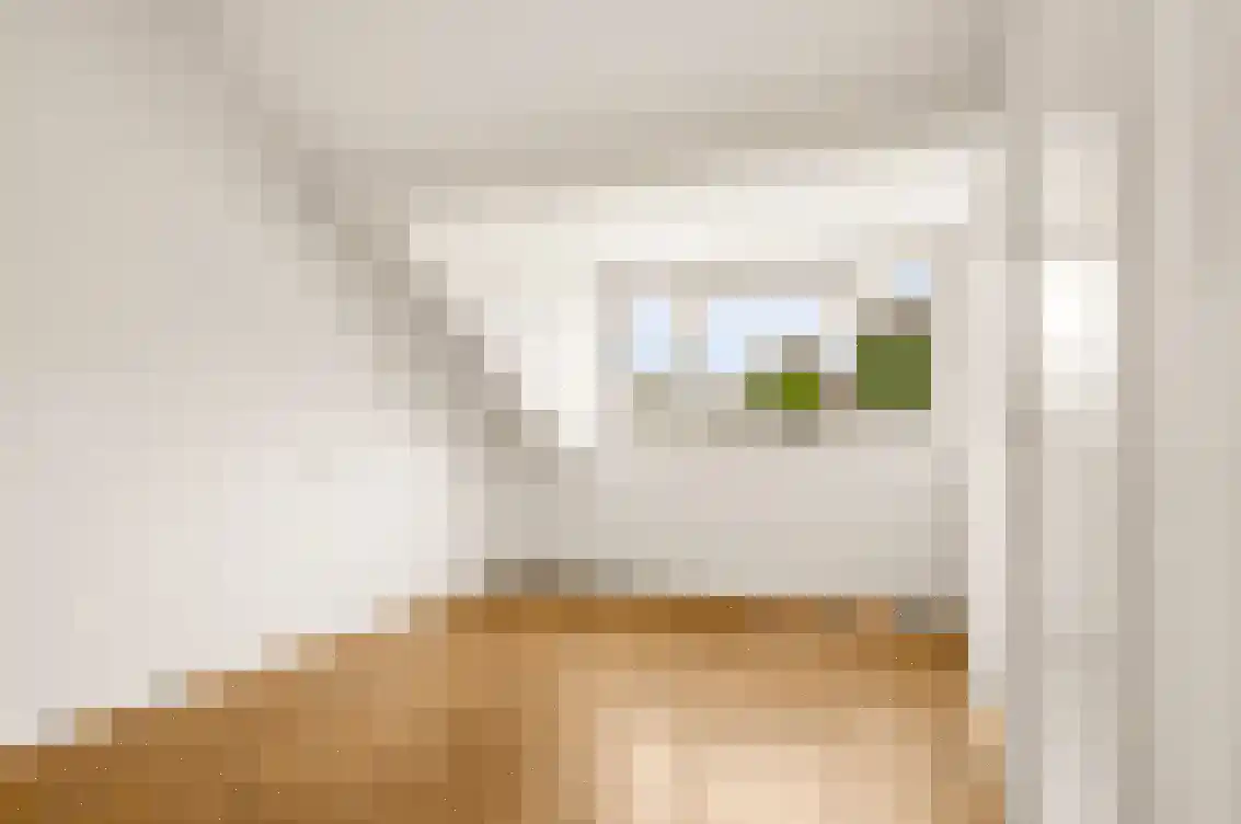 Petuniastraat 6 Oldebroek thumbnail 33
