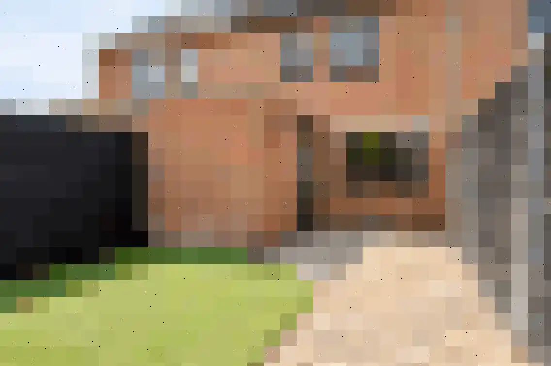 Petuniastraat 6 Oldebroek thumbnail 35