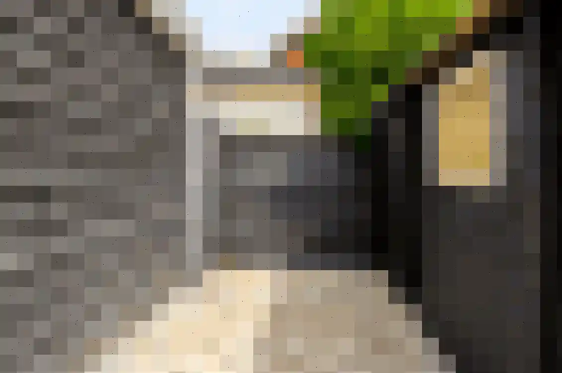 Petuniastraat 6 Oldebroek thumbnail 38
