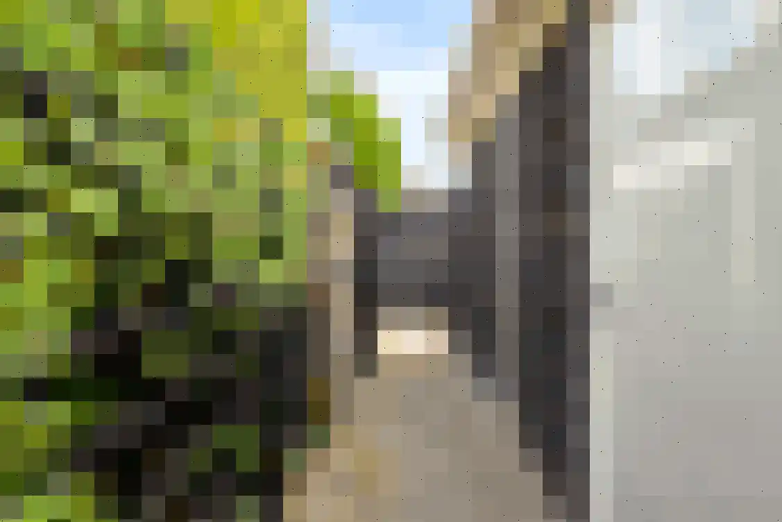 Petuniastraat 6 Oldebroek thumbnail 40