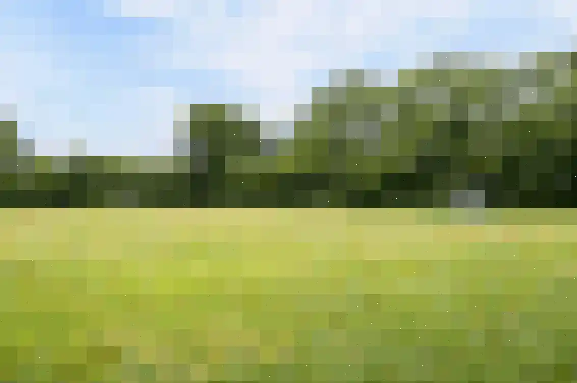 Petuniastraat 6 Oldebroek thumbnail 44