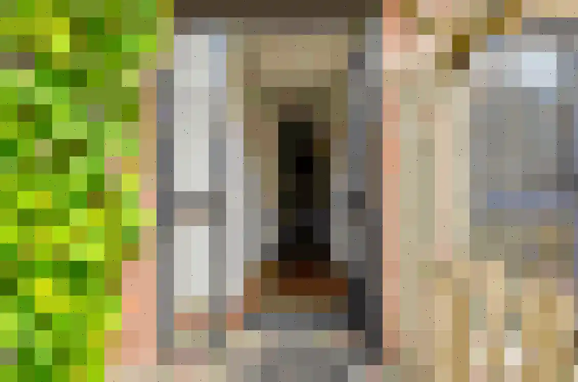 Petuniastraat 6 Oldebroek thumbnail 8
