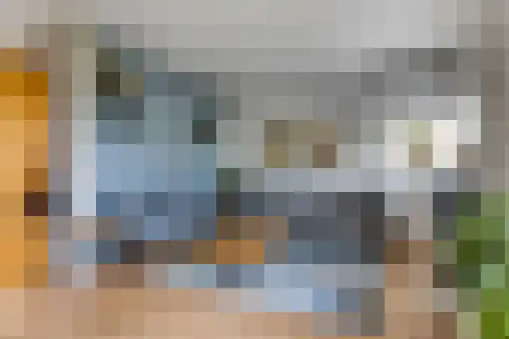 Petuniastraat 6 Rhenen thumbnail 10