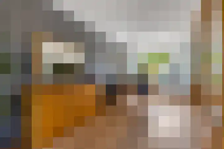 Petuniastraat 6 Rhenen thumbnail 13